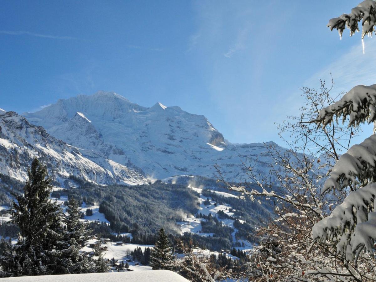 Apartment Melodie By Interhome Wengen Zewnętrze zdjęcie